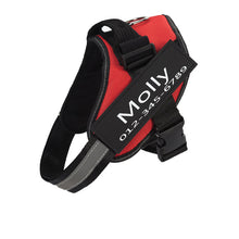 Load image into Gallery viewer, PawBabe Fashionable Nylon Personalised Dog Harness with Name