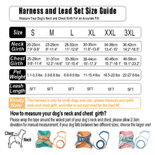 Load image into Gallery viewer, PawBabe Puppy Harness and Lead Set Step in Dog Vest Harness with Handle for Small Dogs Escape Proof Dog Harness