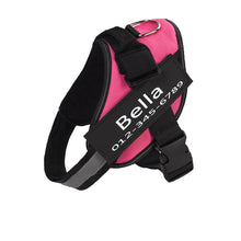 Load image into Gallery viewer, PawBabe Fashionable Nylon Personalised Dog Harness with Name