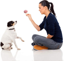 Load image into Gallery viewer, 14 Pack Dog Squeaky Toys