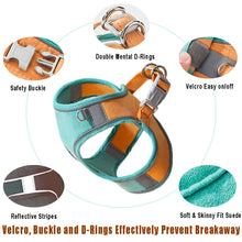 Load image into Gallery viewer, PawBabe Puppy Harness and Lead Set Step in Dog Vest Harness with Handle for Small Dogs Escape Proof Dog Harness