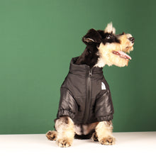 Load image into Gallery viewer, Winter Pet Dog Down Jacket
