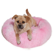 Load image into Gallery viewer, PawBabe Soothing Dog Bed Australia