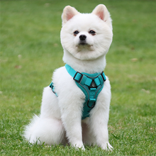 Load image into Gallery viewer, Adjustable Reflective No Pull Dog Harness