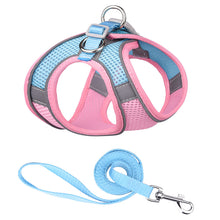 Load image into Gallery viewer, Breathable Mesh Step in Dog Harness