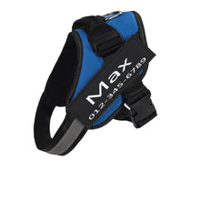 Load image into Gallery viewer, PawBabe Fashionable Nylon Personalised Dog Harness with Name