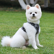 Load image into Gallery viewer, Adjustable Reflective No Pull Dog Harness
