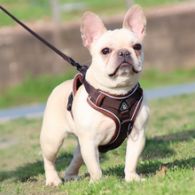 Load image into Gallery viewer, Adjustable Reflective No Pull Dog Harness