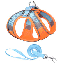 Load image into Gallery viewer, Breathable Mesh Step in Dog Harness