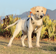Load image into Gallery viewer, No Pull Reflective Dog Harness for Large Dogs
