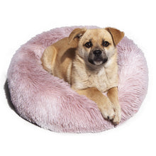 Load image into Gallery viewer, PawBabe Soothing Dog Bed Australia