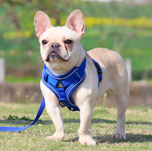 Load image into Gallery viewer, Adjustable Reflective No Pull Dog Harness