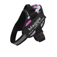 Load image into Gallery viewer, PawBabe Fashionable Nylon Personalised Dog Harness with Name