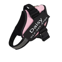 Load image into Gallery viewer, PawBabe Fashionable Nylon Personalised Dog Harness with Name
