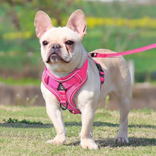 Load image into Gallery viewer, Adjustable Reflective No Pull Dog Harness