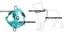 Load image into Gallery viewer, Adjustable Reflective No Pull Dog Harness