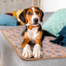 Load image into Gallery viewer, 3PCS Dog Blankets
