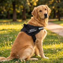Load image into Gallery viewer, No Pull Dog Harness Australia-Sale Ends Tonight!
