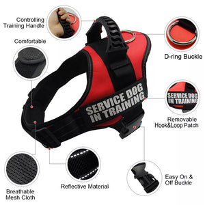 Nylon Adjustable Dog Harness