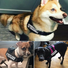 Load image into Gallery viewer, Nylon Adjustable Dog Harness
