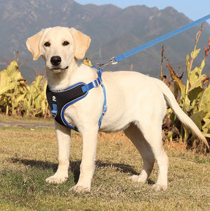 Breathable Mesh Dog Harness for Large Dogs