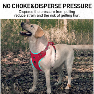 No Pull Dog Harness with 2 Metal Leash Clips