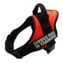 Load image into Gallery viewer, Nylon Adjustable Dog Harness
