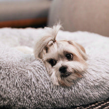 Load image into Gallery viewer, Calming Dog Bed™ Australia-60% Off Today
