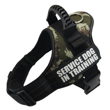 Load image into Gallery viewer, Nylon Adjustable Dog Harness
