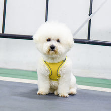 Load image into Gallery viewer, Breathable Mesh Step in Dog Harness
