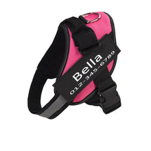 Load image into Gallery viewer, PawBabe Fashionable Nylon Personalised Dog Harness with Name
