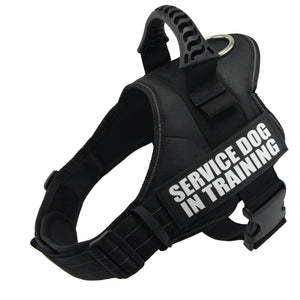 Nylon Adjustable Dog Harness