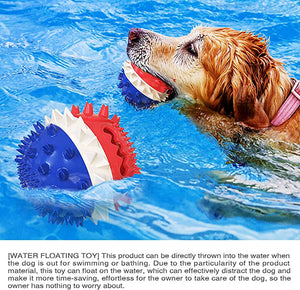 Suction Cup Dog Toy for Aggressive Chewers