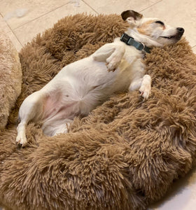 Calming Dog Bed™ Australia