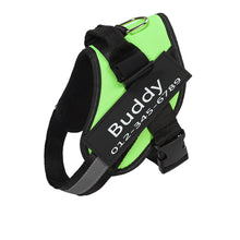 Load image into Gallery viewer, PawBabe Fashionable Nylon Personalised Dog Harness with Name
