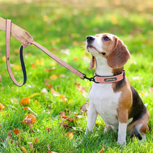 Load image into Gallery viewer, Premium Leather Custom-Engraved Dog Collar
