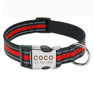 Personalized Dog Collars
