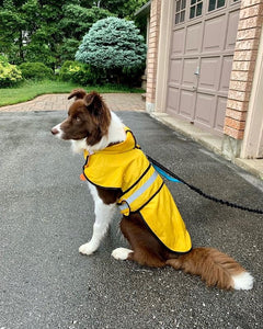 Dog Raincoat Hooded Slicker Poncho